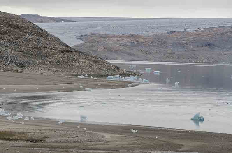 49 - Groenlandia - fiordo Tunulliarfik - glaciar Qaleraliq